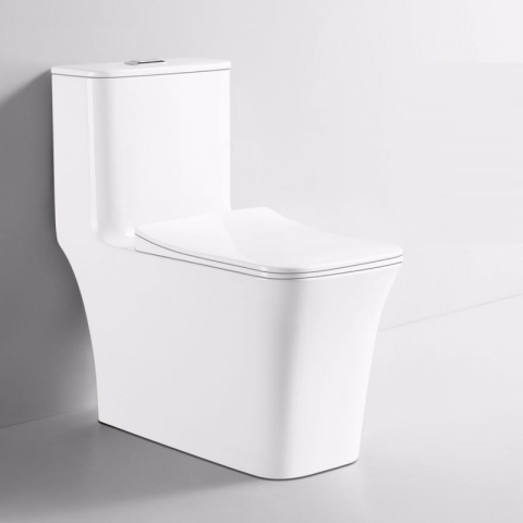 Bệt vệ sinh liền khối 808A